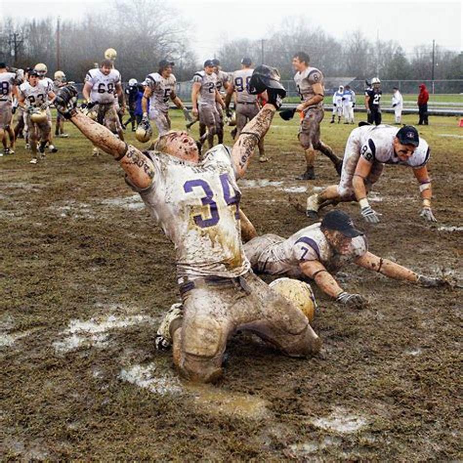 作为黄蜂队 作为黄蜂队