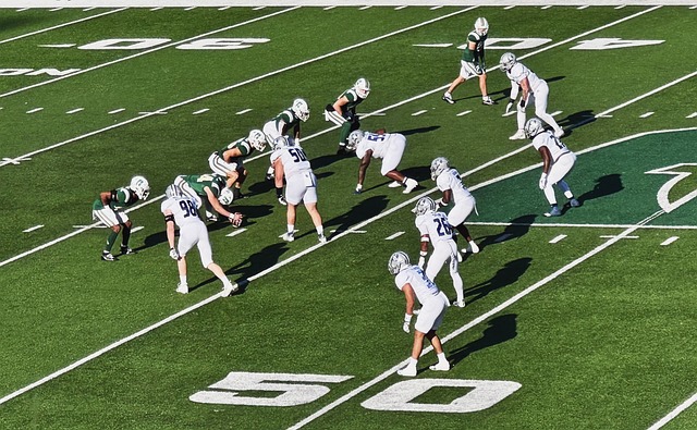 未来之星 未来之星