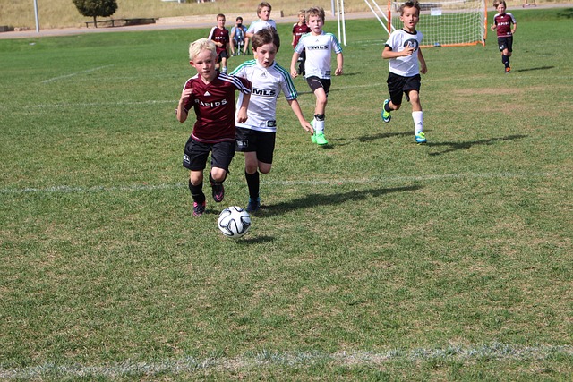 主帅认为 主帅认为