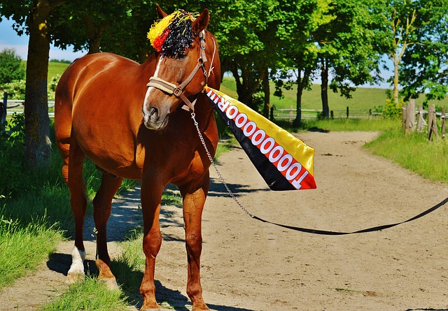 对足球理念 对足球理念